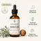Wormwood & Black Walnut Botanical Cleanse Drops